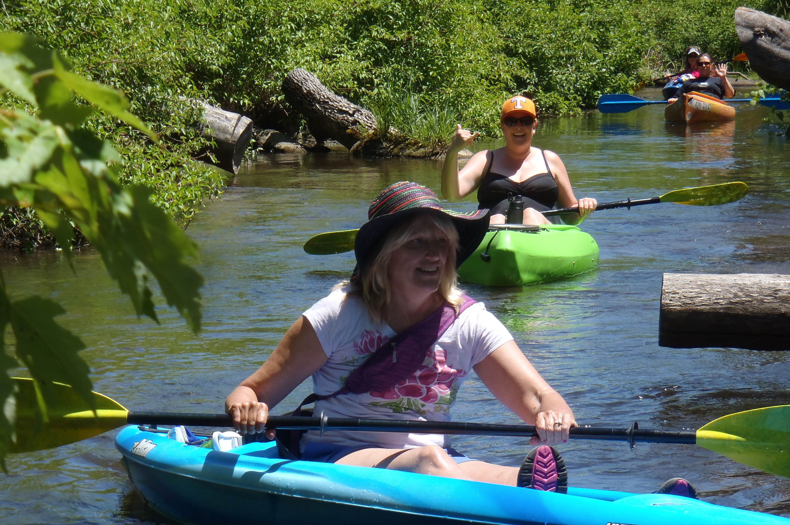 Shiawassee River Water Trail - North